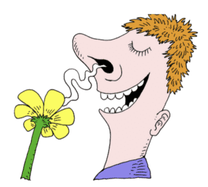 Vaping enthusiast with a happy expression, holding a yellow flower, with a cartoon-style illustration.